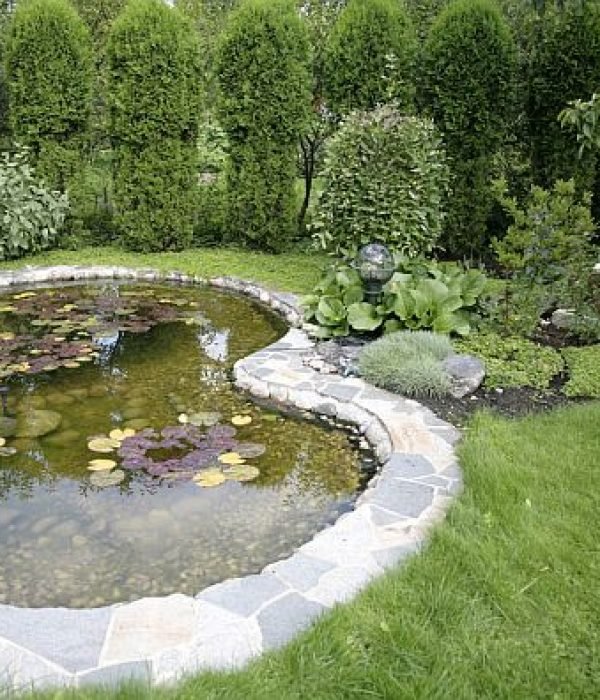 pond with water-lilys in a yard at home